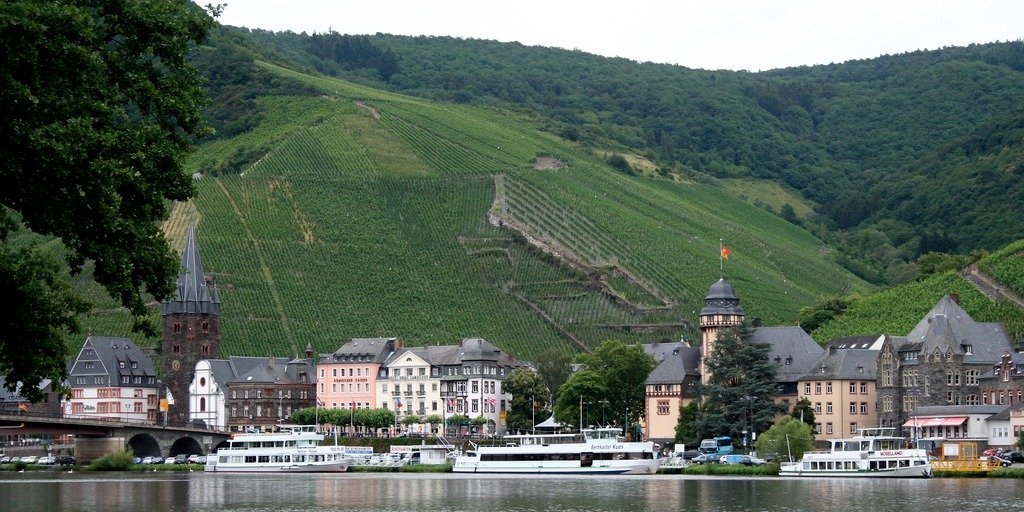 trocken-on-a-riesling.jpg
