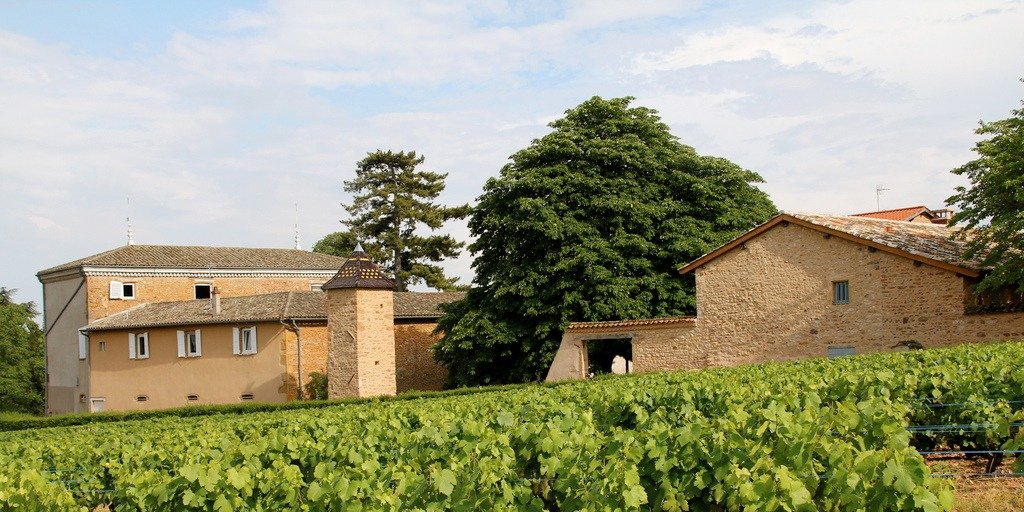 cru-on-a-beaujolais.jpg